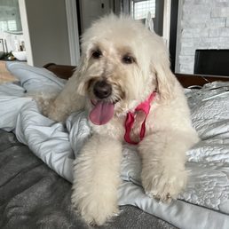 Molly