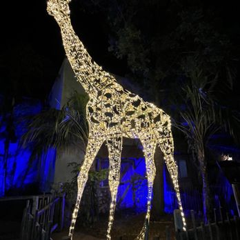 Christmas In The Wild - Handsome fella - Festivals Near Me - Tampa, Florida Christmas In The Wild - Handsome fella - Festivals Near Me - Tampa, Florida