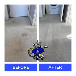 Rino Carpet Cleaning
