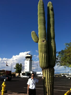 Falcon Field Airport by null