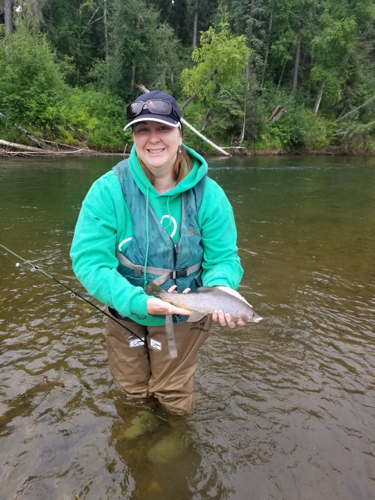 ALASKA WILDERNESS ENTERPRISES 7445 Chena Hot Springs Rd, Fairbanks