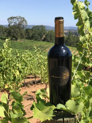 Element 79 Vineyards and Winery by null