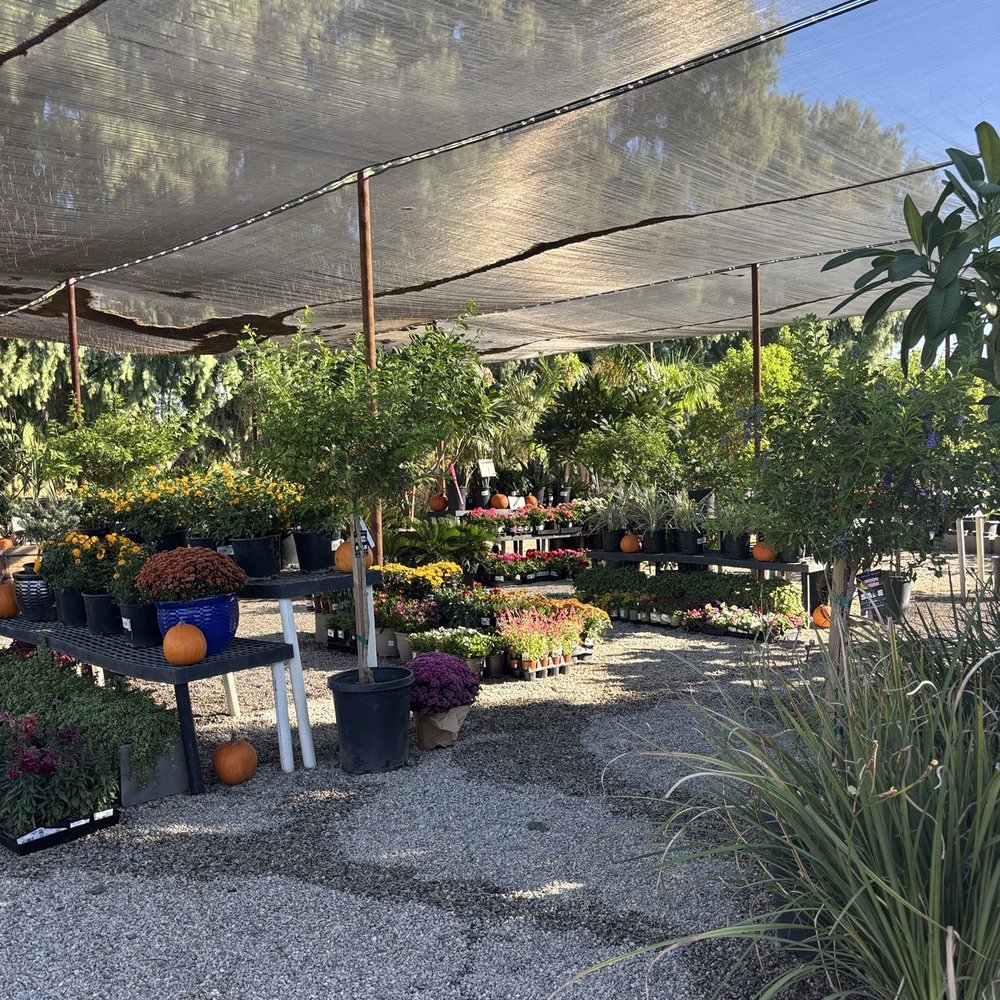 Moon Valley Nurseries - Moon Valley Nursery - Nurseries & Gardening Near Me - Coachella, California