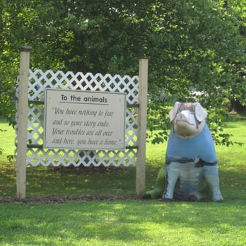 Pigs Animal Sanctuary - Animal Shelters Near Me Pigs Animal Sanctuary - Animal Shelters Near Me