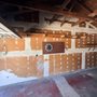 Photo of Casa Painting Services