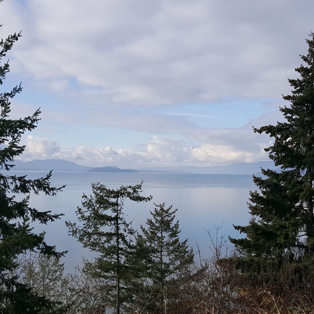 Chuckanut Drive - Utterly beautiful, this photo doesn't do this justice! (1/21/19) - Hotels & Travel Near Me - Bellingham, Washington Chuckanut Drive - Utterly beautiful, this photo doesn't do this justice! (1/21/19) - Hotels & Travel Near Me - Bellingham, Washington
