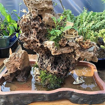 Sunny Bonsai - Nurseries & Gardening Near Me - Burnaby, British Columbia Sunny Bonsai - Nurseries & Gardening Near Me - Burnaby, British Columbia