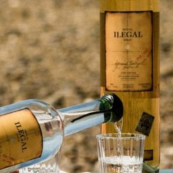 Black Bear Wine & Spirits