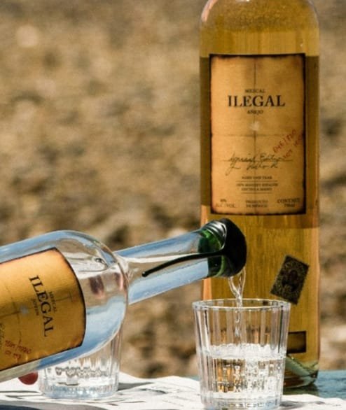 Black Bear Wine & Spirits Logo