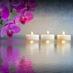 Healing Touch Chiropractic and Acupuncture