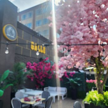 Pappa Gallo - Peruvian Near Me - Rockville Centre, New York Pappa Gallo - Peruvian Near Me - Rockville Centre, New York