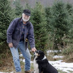 Winterberry Christmas Tree Farm - Winterberry Christmas Tree Farm