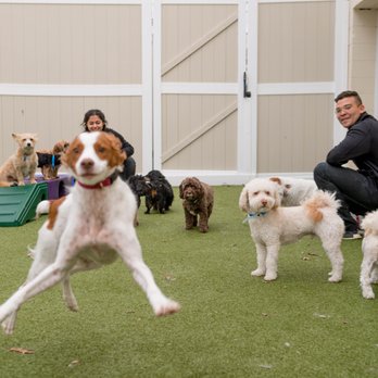K9 Resorts - Hamilton - Pet Boarding Near Me - Hamilton, New Jersey K9 Resorts - Hamilton - Pet Boarding Near Me - Hamilton, New Jersey