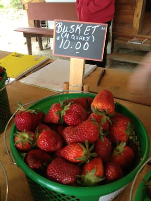 Bernie's Berries & Produce by null