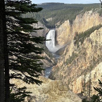 Yellowstone Safari Company - Grand Canyon of Yellowstone Beyond godly - Walking Tours Near Me Yellowstone Safari Company - Grand Canyon of Yellowstone Beyond godly - Walking Tours Near Me