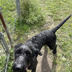 Pocono Creek Discount Pet Center