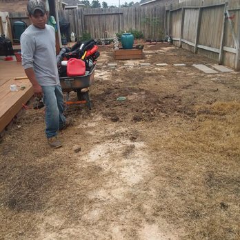 C hernandez lawn - Removed old grass and installed fresh grass - Lawn Services Near Me - Houston, Texas C hernandez lawn - Removed old grass and installed fresh grass - Lawn Services Near Me - Houston, Texas