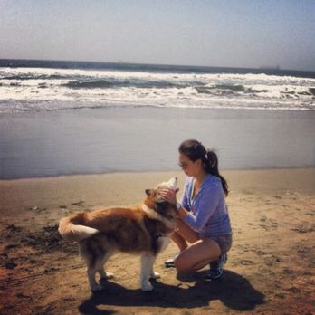 Millbrae Pet Hospital - Veterinarians Near Me - Millbrae, California