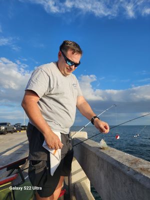 Sunshine Skyway Bridge by null