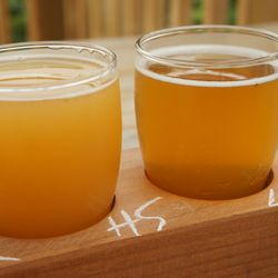 Twin Sails Brewing - Closeup of TS x Brewhall hotsnaps and the little things Brett IPA.