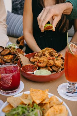 The Surfing Fox by null