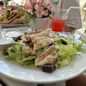 Venice Restaurant - Pizza Near Me - Hollywood, Florida Venice Restaurant - Pizza Near Me - Hollywood, Florida