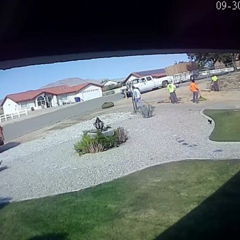 The Tree Pros - After - Tree Services Near Me - Hesperia, California The Tree Pros - After - Tree Services Near Me - Hesperia, California