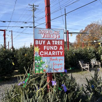 Snowflake Village Christmas Trees - Christmas Trees Near Me - Charlotte, North Carolina