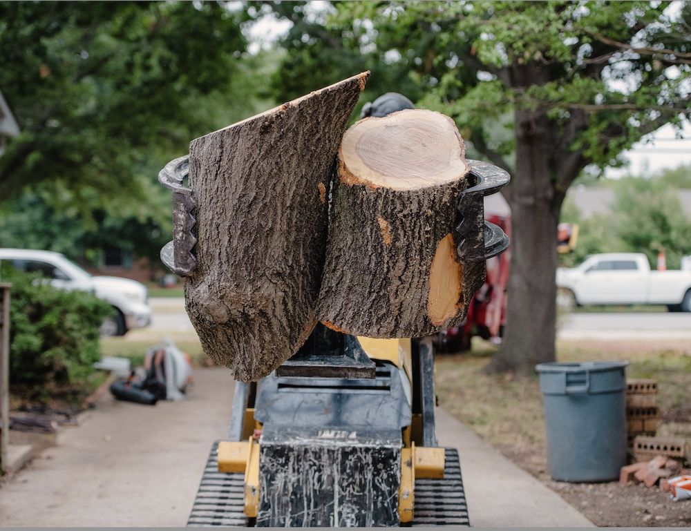 Clean Edge Tree Service & Removal - Updated June 2026 - 49 Photos & 19 ...