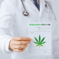Green Cross Partners