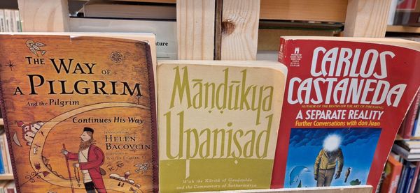 Molly's Books & Records by null