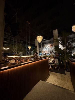 V Modern Italian by null