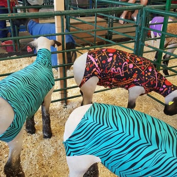 California Mid-State Fair - Festivals Near Me - Paso Robles, California California Mid-State Fair - Festivals Near Me - Paso Robles, California