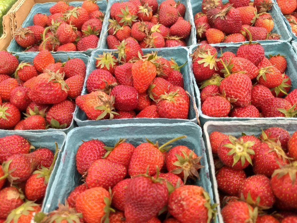 POINT LABADDIE FARMERS MARKET Updated September 2024 12 Photos