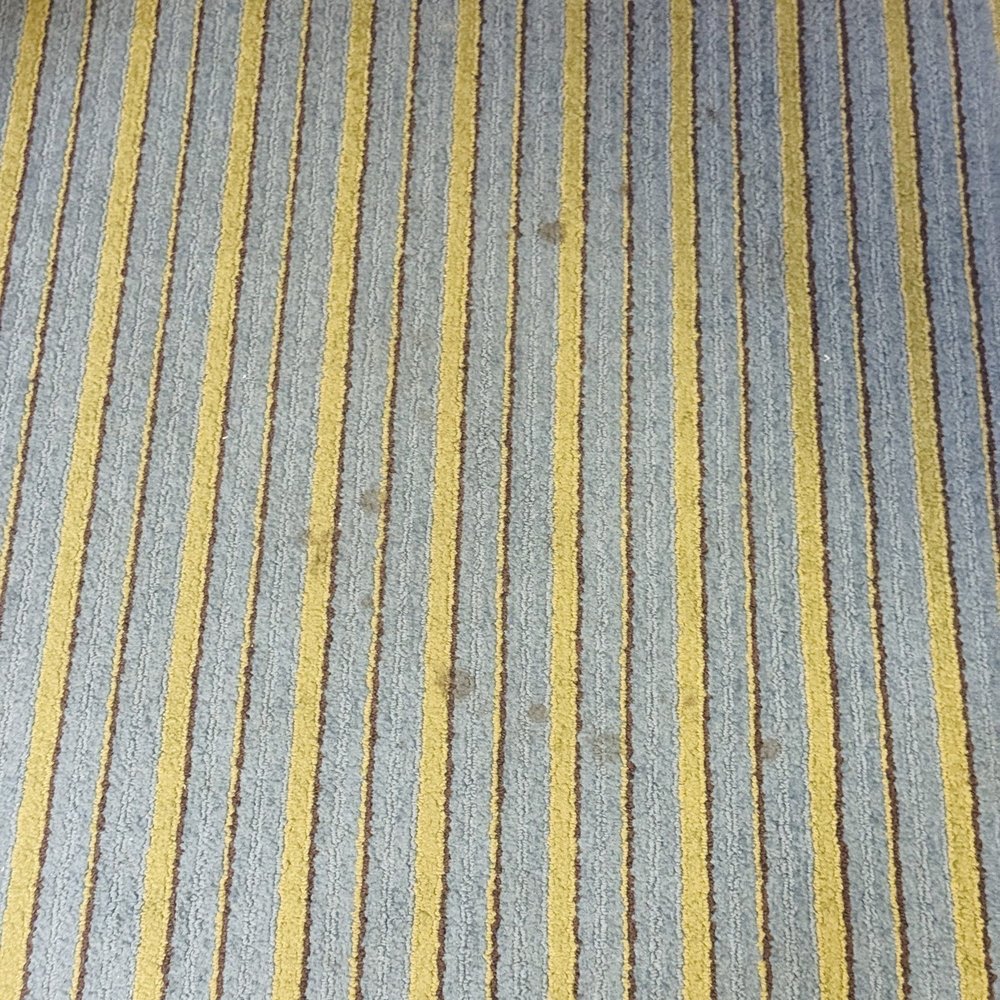 Wingate By Wyndham York - Stains on the carpet. - Hotels Near Me - York, Pennsylvania Wingate By Wyndham York - Stains on the carpet. - Hotels Near Me - York, Pennsylvania