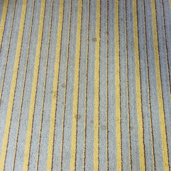 Wingate By Wyndham York - Stains on the carpet. - Hotels Near Me - York, Pennsylvania Wingate By Wyndham York - Stains on the carpet. - Hotels Near Me - York, Pennsylvania