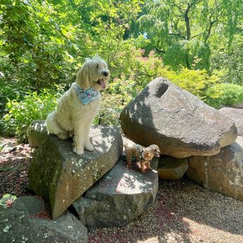 Sayen House & Gardens - Parks Near Me - Hamilton, New Jersey