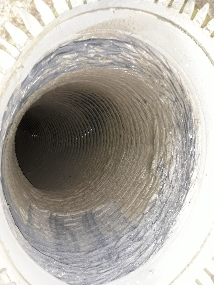 A1-Mold Inspections - mold inspector in Dallas, NC