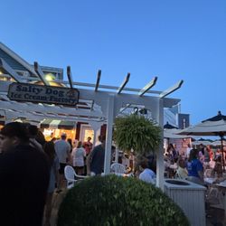 Salty Dog Ice Cream - The line