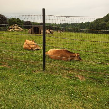 Action Wildlife Foundation - Community Service/Non-Profit Near Me - Goshen, Connecticut