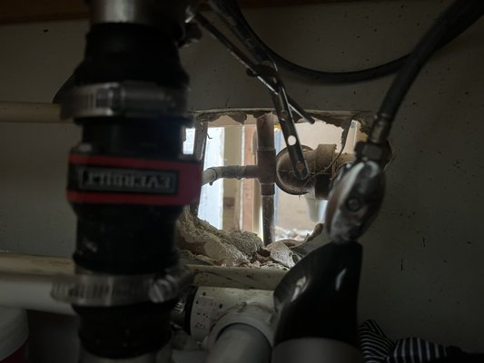 Cottage Cove by null