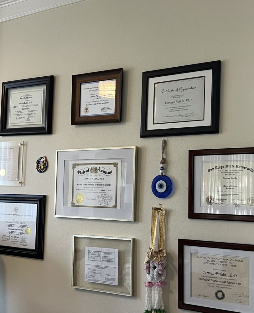 Carmen Pulido, PhD - Mind Health - child therapist in Houston, TX