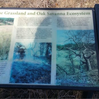 Soldiers Delight - Lots of information about the grasslands and ecosystems - Hiking Near Me - Owings Mills, Maryland