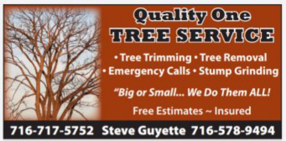 Quality One Tree Service - tree service in Derby, NY