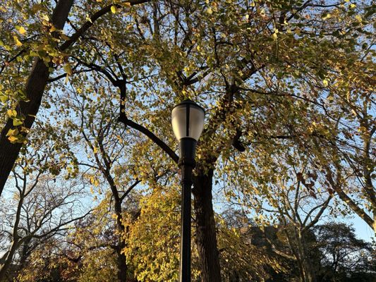 Herbert Von King Park by null