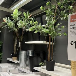IKEA Dublin - Fake plants