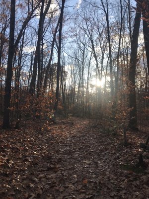 Mount Holyoke Range State Park by null