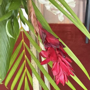 Joun Flower House - Florists Near Me - Urban Honolulu, Hawaii