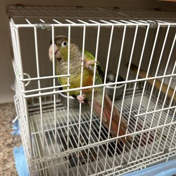 VEG ER for Pets - Emergency Pet Hospital Near Me - Paramus, New Jersey