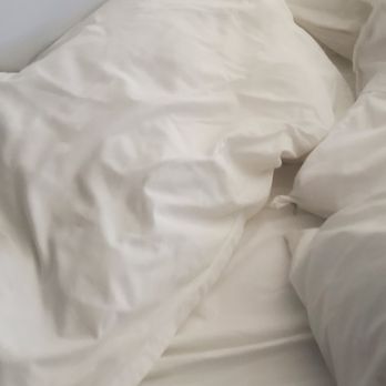 Sheraton Arlington Hotel - Lanky pillows - Hotels Near Me - Arlington, Texas